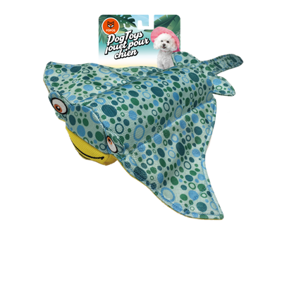 Raia com Pintas FOFOS SEALIFE
