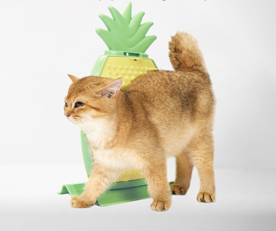 Arranhador para Gato em Forma de Ananás com Escova Integrada