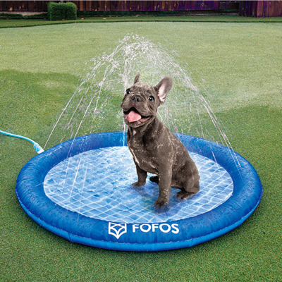 Piscina Splash para Cães FOFOS