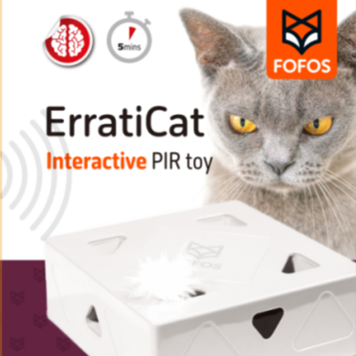 Brinquedo com Penas Interativo para Gato com 6 Peças FOFOS